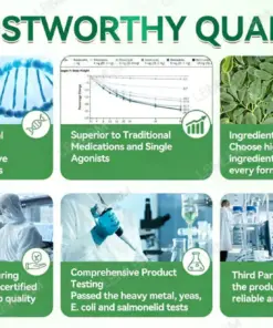 LBMLBM™ MoringaBerberine NAD 10-in-1 Nano Microneedle Patch Daily, Visible Results in 7 Days For Weight, Skin, Diabetes Joint Health