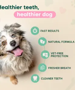 LBMLBM™ Probiotic Enzymatic Dental Spray