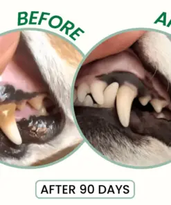 LBMLBM™ Probiotic Enzymatic Dental Spray