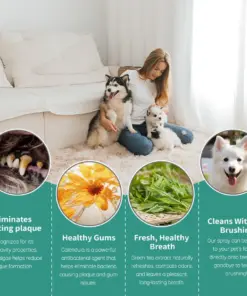 LBMLBM™ Probiotic Enzymatic Dental Spray