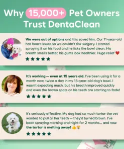 LBMLBM™ Probiotic Enzymatic Dental Spray