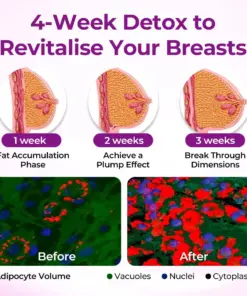 LBMLBM® MaxCurve Sculpting & Volumizing Bust Oil