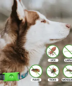 LBMLBM™ Bug Free Collar - Natural Plant-Based Repellent