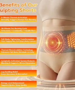 LBMLBM® 4-In-1 High-Waist Sculpting Brief